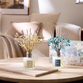 Airkeep Reed Diffuser 3.38 oz (100ml) 2pk,Clean Linen/Cashmere VanillaScented Reed Diffuser Set,Reed Diffuser & Oil Diffuser Sticks, Aromatherapy, Home & Kitchen Décor,Fragrance and Gifts