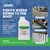Agrisel GlyPhoSel Plus Weed Killer, Post Emergent, Long-Lasting Action, Eliminates