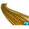 Moonlight Feather YELLOW Thin Long Grizzly Rooster Loose Feather &