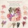Natural Dried Flowers for Crafts, Colourful Flower Kit for Resin