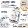 Lions Mane Supplement-18,000mg (30:1 Extract)+Zinc, Reishi & Cordyceps-3 Mushrooms Herbal