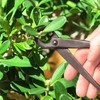 BambooMN Bonsai Kit 15pc Master Tool Set