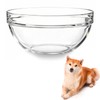 Replacement Glass Bowl for Feoyoho 7.2in Feeder Stand – 60.9