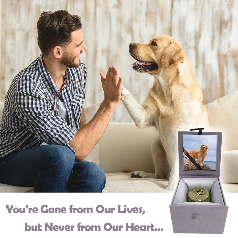 Mini Urns for Ashes, Handicrafted Ceramic Ashes Urns for Dog