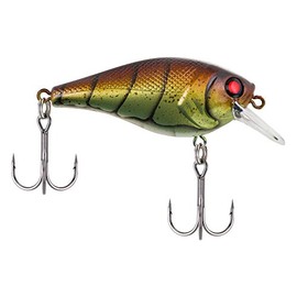 Berkley SquareBull Fishing Lure, Vintage Craw, 1/4 oz, 2in | 5cm Crankbaits, Floating Bait Features Maximum Flash and Tail Wag for Erratic Hunting Action
