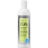All About Curls Quenched Cream Conditioner Unisex 15 oz