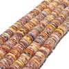 ABCGEMS Royal Pectin Scallop Shell Beads from Pacific Ocean (Arranged