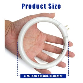 Celiwace 4.75 Inches T4 Circular Bulb 12 Watt, Fluorescent Circline 12W Fluorescent Lamp 6500K for Magnifying lamp, Mikeup Mirror 2 Pack