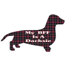 CafePress BFF Dachshund Memory Keepsake Jewelry Box, 5"x5"x3.75"