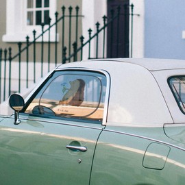 Mr. & Mrs. Panda Car Sun Protection Hedgehog Flowers - Gift, Get Well Wishes, Sun Protection Car Side Window, Sun Protection Film, Funny Sayings