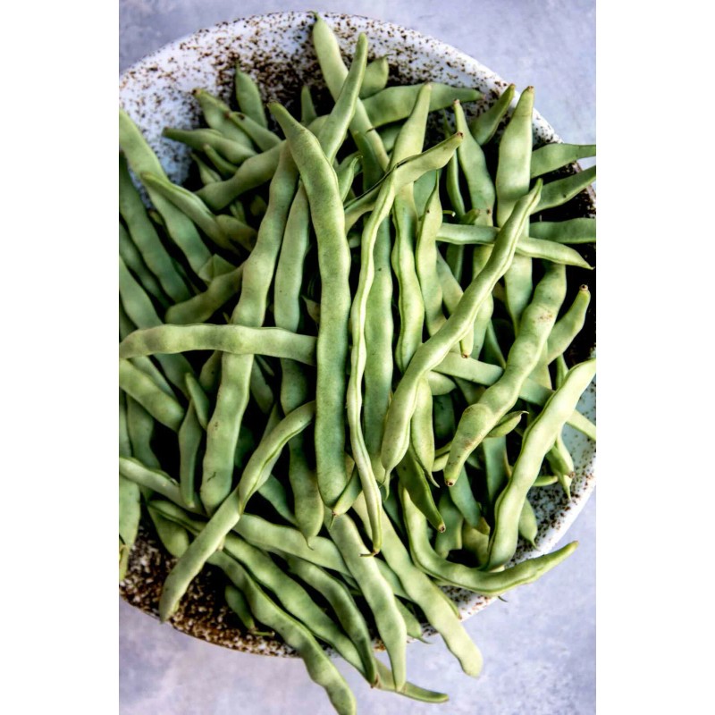 TomorrowSeeds Lu Qing Romano Bean Seeds | Pole Beans Light
