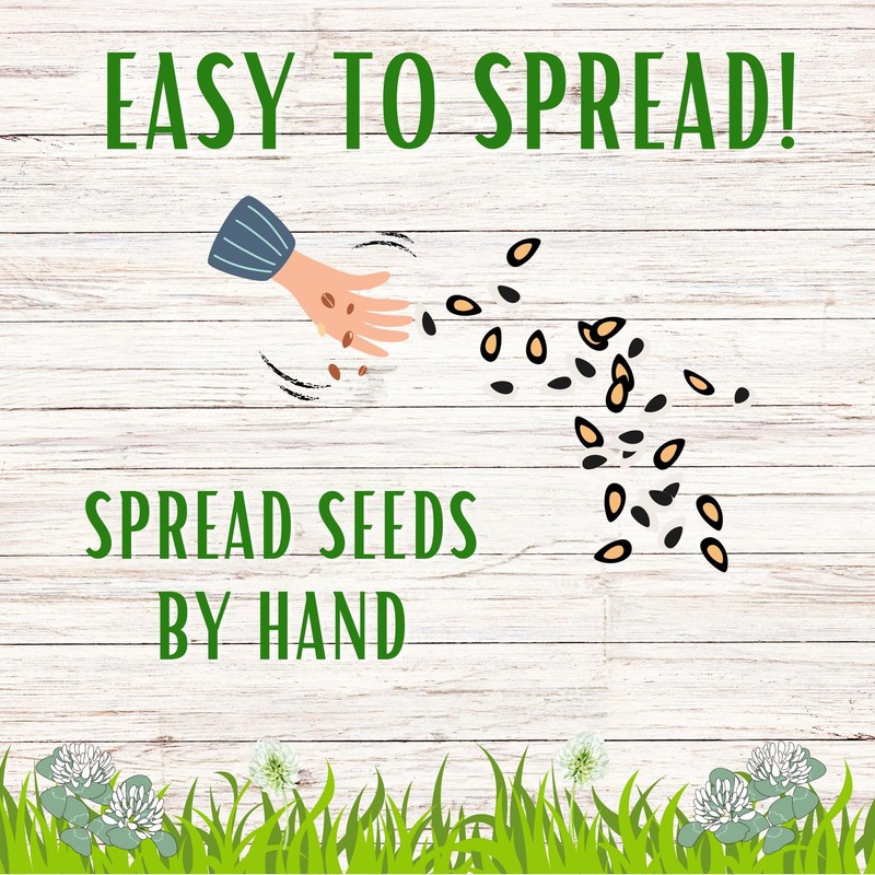 Flawn Seed Dutch White Clover Seed, 5 Lbs, Organic Coated,