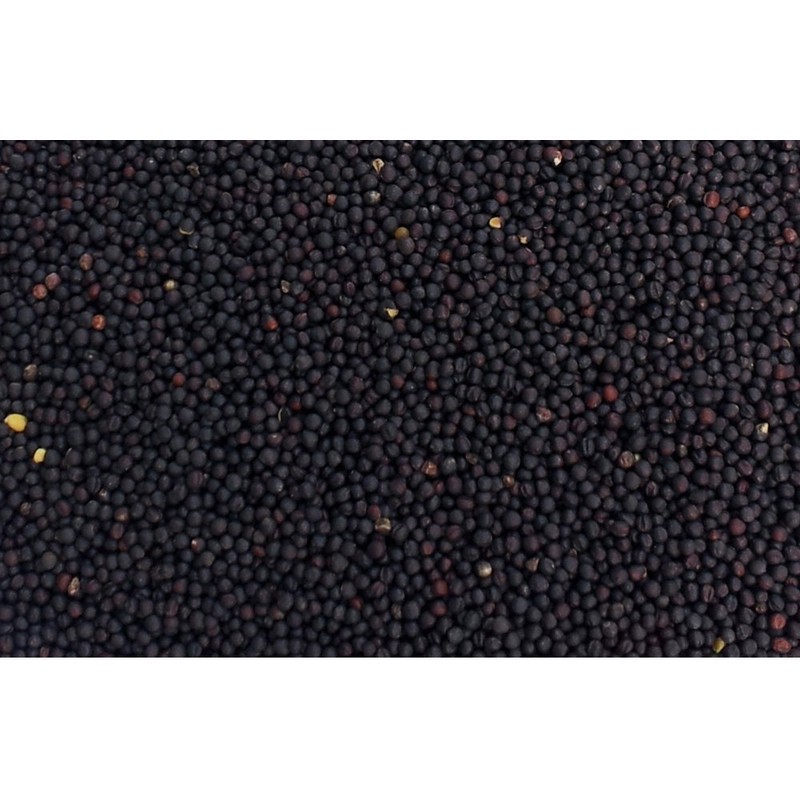 Rapeseed Cushion 24 x 24 cm Cherry Black