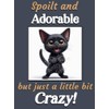 Generic Funny Black Cat Kitten funny flexible fridge magnet gift