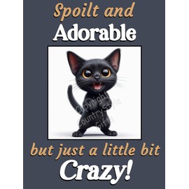 Generic Funny Black Cat Kitten funny flexible fridge magnet gift