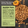 NUTS U.S. - Sweet Raw Apricot Kernels (Seeds) | Unpasteurized