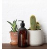 uishi Brown Amber Plastic Bottles with Pump Dispenser [250ml x
