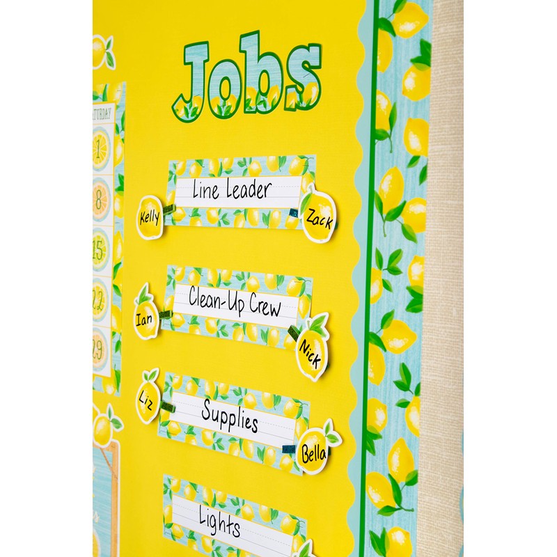 Teacher Created Resources Lemon Zest Mini Accents (TCR8481)