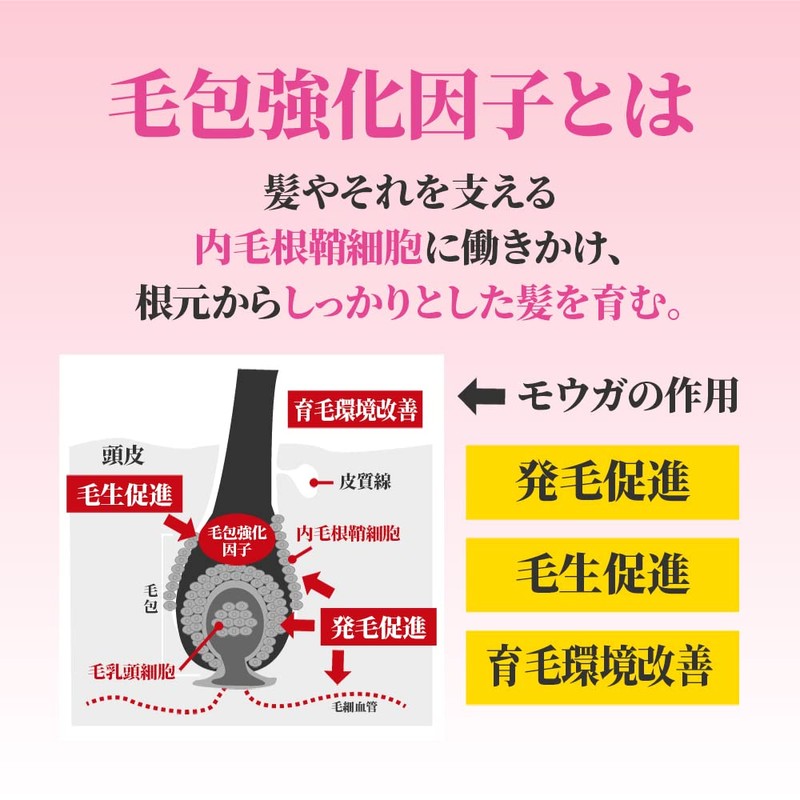 【医薬部外品】モウガL 女性用育毛剤 60mL 女性向け
