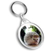 Destination Vinyl ltd 1 x Photo Keyring - Cute Hedgehog