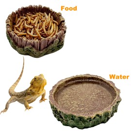 2 Pack Small Reptile Food Bowls, Reptile Feeding Terrarium Bowls for Bearded Dragon Lizard Frog Gecko Tortoise Hermit Crab Snail (Brown B)