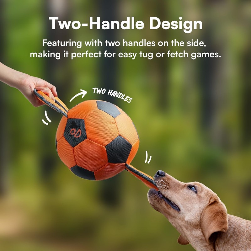 ALL FOR PAWS Ballistic Handle Ball Dog Toy with Squeaker,