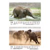 Elephant Magic DIN A5 Desk Calendar for 2022 Elephants Seelenzauber