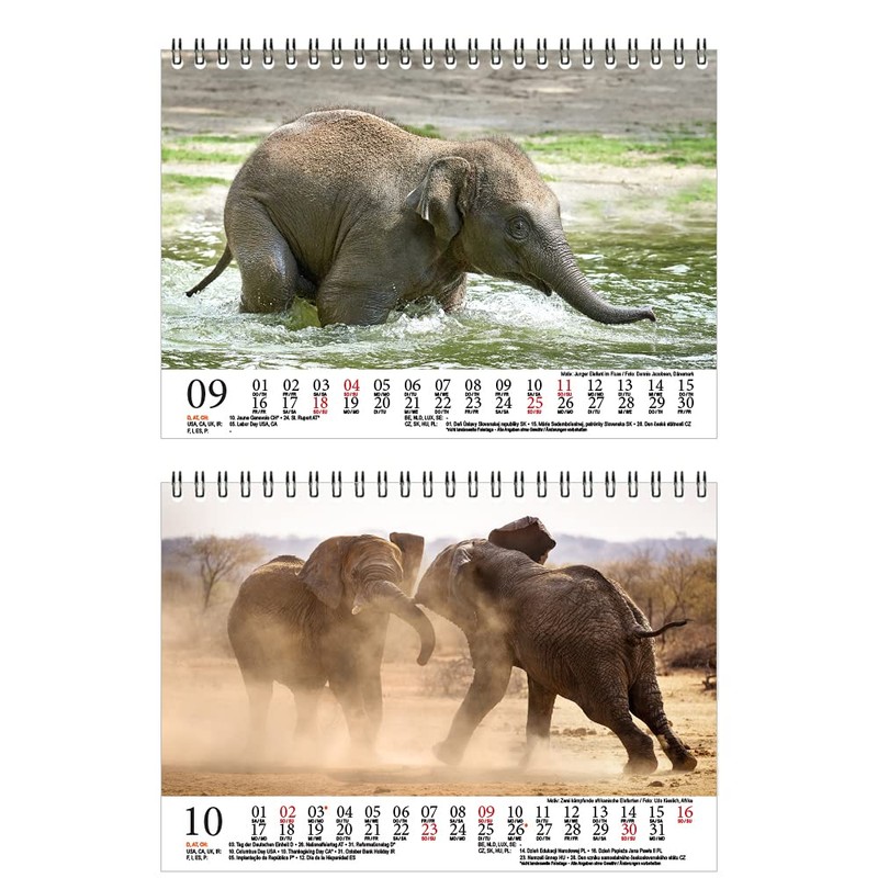 Elephant Magic DIN A5 Desk Calendar for 2022 Elephants Seelenzauber