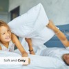 King Size Pillow Cases Set of 4 - Extra Soft