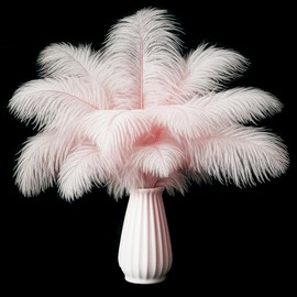 Lamar 20Pcs 10-12'' Pink Ostrich Feathers for Wedding Centerpieces, Crafts, Carnival, Gifts, Party Decor, Floral Arrangement, Bohemian Home Decor (LightPink)
