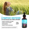 Organic Lymphatic Drainage Supplement | Lymphatic Support Drops | Burdock