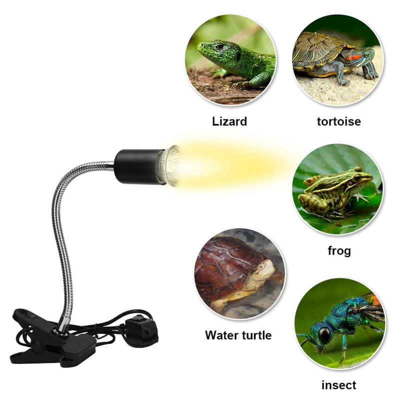 75W Reptile Heat Lamp Tortoise Heat Lamp Basking Lamp Heater