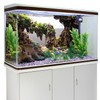 AWERT 48x24 inches Viewing Stone Fish Tank Background Aquatic Plant