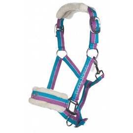 Funny Horses HKM Headcollar, Horse Headcollar, Pasture and Stable Headcollar, Shetty, Pack of 1