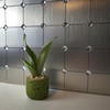 Yipscazo 1 Sheet Peel and Stick Diamonds Tile Backsplash, PVC