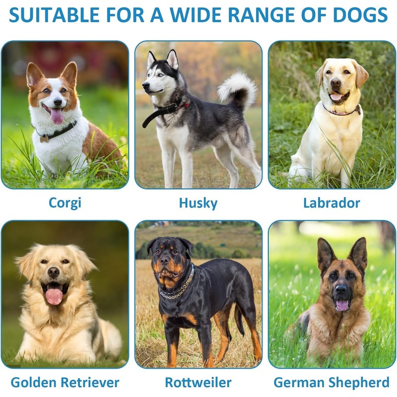 HTRTRR Muzzle for Dogs, Muzzles for Dogs with Mesh, Applicable