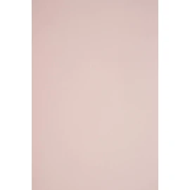Netuno 50 Sheets of Coloured Paper Pale Pink DIN A4 210 x 297 mm 115 g Sirio Colour Nude Craft Paper Printable Pink A4 Clay Drawing Paper for Wedding Birthday Christening Christmas Invitation Cards