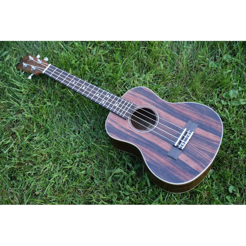 Aloha Ukulele Ebony Wood, Many Sizes, W/Wt EQ (Canadian brand)