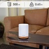 ASAKUKI 300ML Essential Oil Diffuser, Quiet 5-in-1 Premium Humidifier, Home