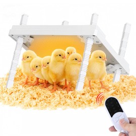 Fiderix 12"x12" Chick Heat Plate | Adjustable Height Angle | Remote Precise Temp Control | 30W Low-Energy Heater | Stable Anti-Tip Frame | Suitable for Up to 20 Chicks & Indoor Brooding
