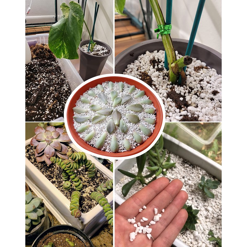 20 QT Professional Grade Horticultural Organic Perlite (20 QT, Perlite)