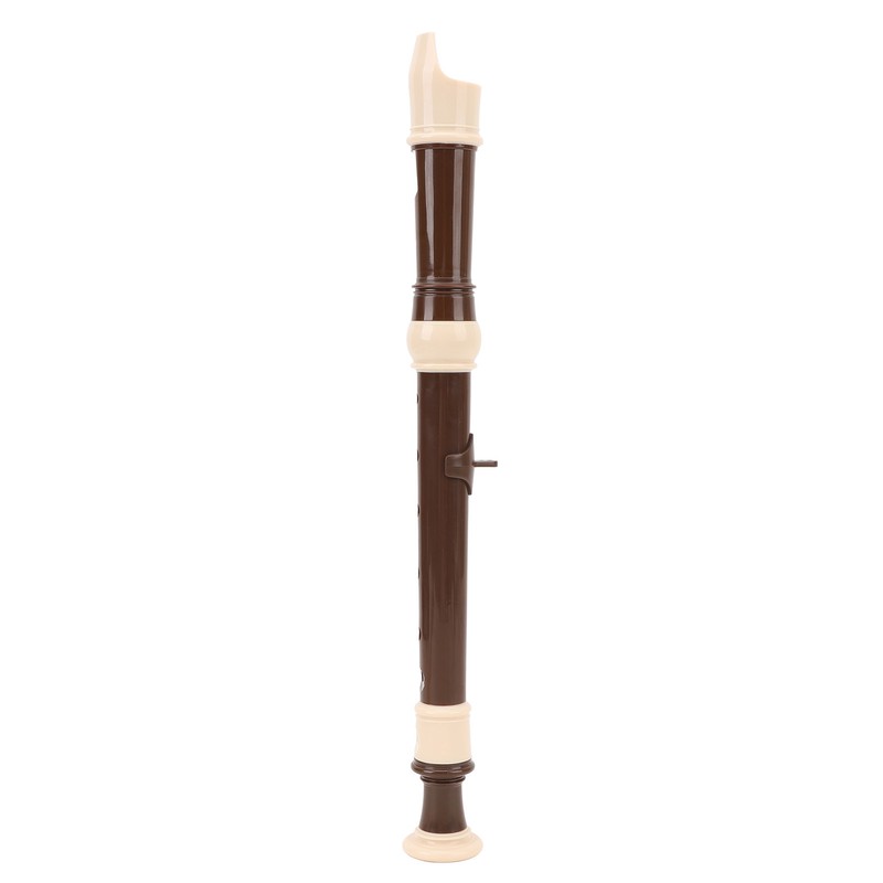 8 Hole Recorder Detachable Soprano Recorder Musical Instrument with Cleaning