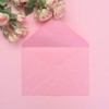 Pukka Pad, Pukka Post & Packaging Gummed Envelopes - Pack
