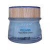 The Saem 더샘 아이슬란드 아쿠아 모이스트 크림 60ml 수분 The