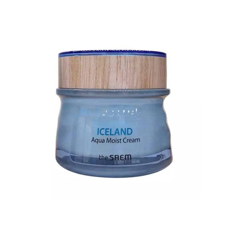 The Saem 더샘 아이슬란드 아쿠아 모이스트 크림 60ml 수분 The