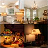 Megereet GY6.35 LED Bulb G6.35 7W AC 110V-130V (Cannot be