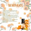 Aceite Orgánico De Caléndula P Masaje Facial Elimina Toxinas Caléndula