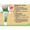 Forever Living Aloe Vera Gelly 100% Stabilized Aloe Vera Gel