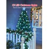 C9 Christmas Lights Outdoor, 114 Feet 150 LED C9 String