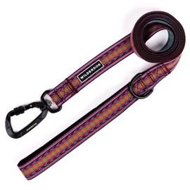 Wilderdog Ultralight Leash Series for Dogs 6 ft Long and Only 3.75 oz with swiveling, Locking Carabiner Attachment and Lightly Padded Handle with D-Ring - Daybreak